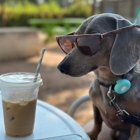 Liberty Hill Veterinary Wellness