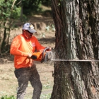KDB Clearing & Timber