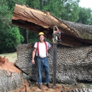 Pope Valley Tree LLC - Tree Service