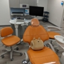 1311 Jackson Ave Dental