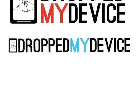 Dropped My Device - Boca Raton, FL