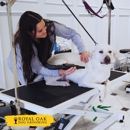 Royal Oak Dog Grooming
