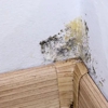 Neato Cleaning & Restoration gallery