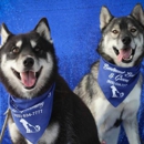 Brentwood Boarding & Grooming - Pet Boarding & Kennels