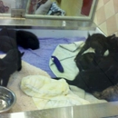 Human Society of Naples - Humane Societies