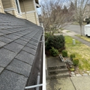 All Around Window Cleaning - Business Plans Development