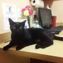 D J Animal Hospital