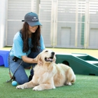 Pet Paradise