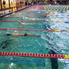 Wsy Swimming