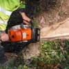 Ax Men Tree Service gallery