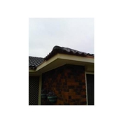 Gallery Image Number 1