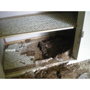 Gallery Image Number 7