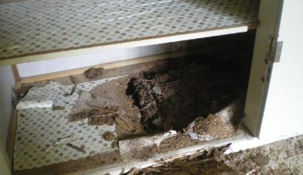 Redlands Pest Control