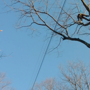 The Tree Fellas - lebanon, ME