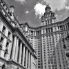 The Municipal Building gallery