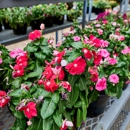 Tractor Supply Co - Garden Centers