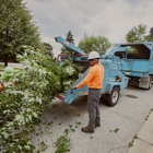 Winkler Tree & Lawn Care