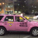 Pink Taxi 243 - Transportation Providers