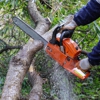 Empire Tree Services gallery