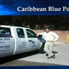 Caribbean Blue Pool Service gallery