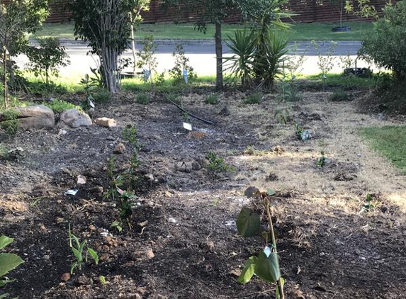 Craig's Gardening, Yard Tidy and Handyman Service - Fullarton, SA. Poisoned lawn area, not prepared (not mixed with mulch, manure, gypsum)