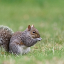 Economy Pest Control & Termites - Pest Control Equipment & Supplies