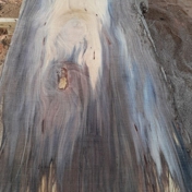 Gallery Image Number 3
