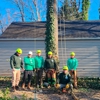 Lopez Tree Services gallery