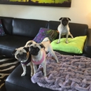 Miami Lakes Veterinary Clinic - Veterinarians