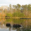 Walley Forestry - Forestry Consulting