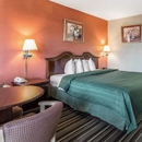 Quality Inn & Suites Macon North - Motels