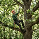 Tree Service-Lilburn, GA
