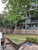 Complete Tree Worx - Tree & Stump Removal Services