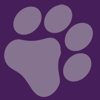 Furever Bookkeeping, Business Accounting & CFO Services gallery