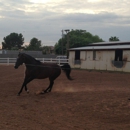 Crossroads Farm - Horse Rentals