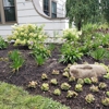 Native Landscapes & Gardens gallery