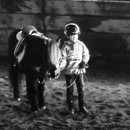 Horsemanship School - Horse Boarding