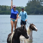 Beach Horseback Rides