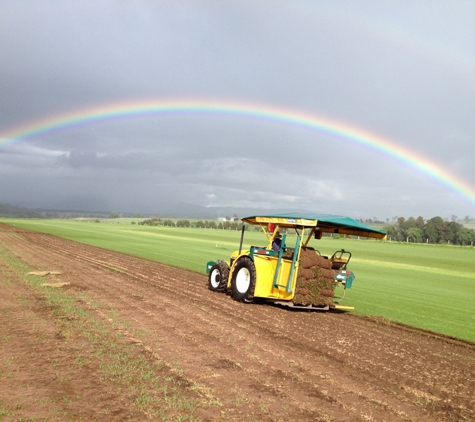 Gough's Turf Supplies - Long Point, NSW