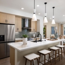 Concord Court - New Homes by City Ventures