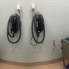 Petco Grooming gallery