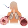 Frederick Allergy and Asthma Center, LLC gallery