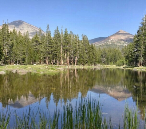 Curry Village - Yosemite National Park, CA