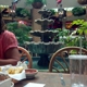 Paradiso Mexican Restaurant