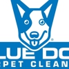 Blue Dog Carpet Cleaning gallery