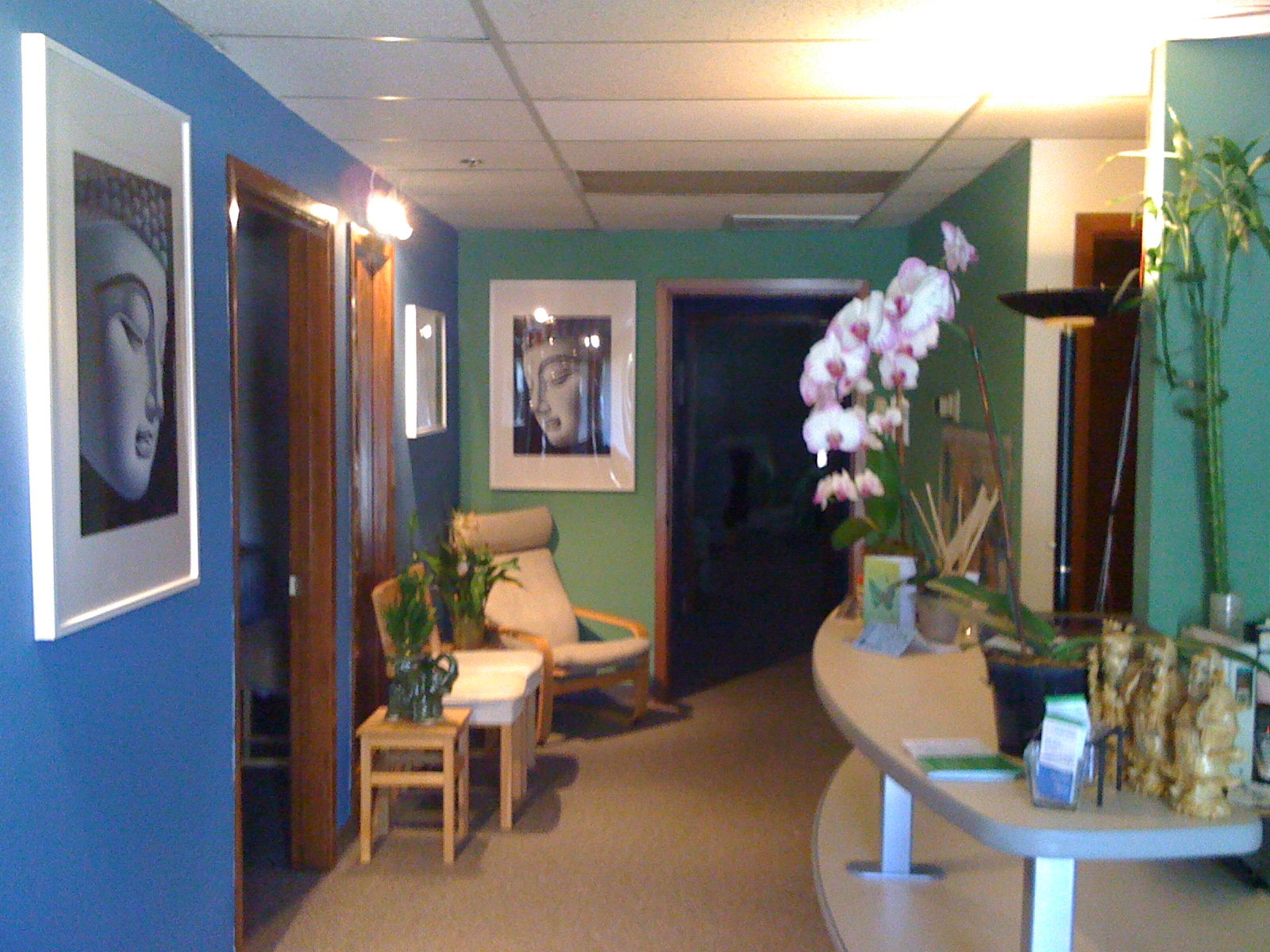 Living Room Acupuncture San Jose CA 95131 YPcom