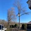 W&C Tree and Land Services gallery