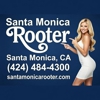 Santa Monica Rooter gallery