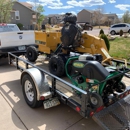 Arbor One Tree Service - Tree Service