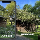 The Tree Guy Services LLC - Tree Service